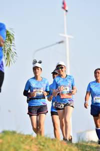 BIB: 179, 5178, 628
                            <button type="button" onclick="openModal(3089988)" class="btn btn-primary btn-sm float-right btn-popup" data-toggle="modal" data-target=".modal-high-quality">
                        <i class="fas fa-shopping-cart"></i> Add to Cart
                    </button>
                                            <button type="button" onclick="isThisMe(3089988, true)" class="btn btn-success btn-sm float-right btn-popup btn-isme hidden" data-toggle="tooltip" data-placement="bottom" title="นี่คือรูปของคุณใช่ไหม คลิกที่นี่เพื่อเอาเข้าอัลบั้ม">
                        <i class="fas fa-plus"></i> Add to album
                    </button>
                    <button type="button" onclick="isThisMe(3089988, false)" class="btn btn-warning btn-sm float-right btn-popup btn-isnotme hidden">
                        <i class="fas fa-ban"></i> Remove from album
                    </button>