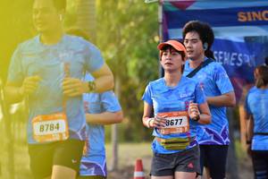 BIB: 677, 8784
                            <button type="button" onclick="openModal(3099131)" class="btn btn-primary btn-sm float-right btn-popup" data-toggle="modal" data-target=".modal-high-quality">
                        <i class="fas fa-shopping-cart"></i> Add to Cart
                    </button>
                                            <button type="button" onclick="isThisMe(3099131, true)" class="btn btn-success btn-sm float-right btn-popup btn-isme hidden" data-toggle="tooltip" data-placement="bottom" title="นี่คือรูปของคุณใช่ไหม คลิกที่นี่เพื่อเอาเข้าอัลบั้ม">
                        <i class="fas fa-plus"></i> Add to album
                    </button>
                    <button type="button" onclick="isThisMe(3099131, false)" class="btn btn-warning btn-sm float-right btn-popup btn-isnotme hidden">
                        <i class="fas fa-ban"></i> Remove from album
                    </button>