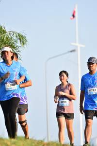 BIB: 6304, 6393, 6896
                            <button type="button" onclick="openModal(3090066)" class="btn btn-primary btn-sm float-right btn-popup" data-toggle="modal" data-target=".modal-high-quality">
                        <i class="fas fa-shopping-cart"></i> Add to Cart
                    </button>
                                            <button type="button" onclick="isThisMe(3090066, true)" class="btn btn-success btn-sm float-right btn-popup btn-isme hidden" data-toggle="tooltip" data-placement="bottom" title="นี่คือรูปของคุณใช่ไหม คลิกที่นี่เพื่อเอาเข้าอัลบั้ม">
                        <i class="fas fa-plus"></i> Add to album
                    </button>
                    <button type="button" onclick="isThisMe(3090066, false)" class="btn btn-warning btn-sm float-right btn-popup btn-isnotme hidden">
                        <i class="fas fa-ban"></i> Remove from album
                    </button>