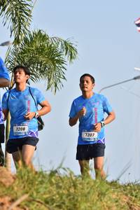 BIB: 7208, 7207
                            <button type="button" onclick="openModal(3087999)" class="btn btn-primary btn-sm float-right btn-popup" data-toggle="modal" data-target=".modal-high-quality">
                        <i class="fas fa-shopping-cart"></i> Add to Cart
                    </button>
                                            <button type="button" onclick="isThisMe(3087999, true)" class="btn btn-success btn-sm float-right btn-popup btn-isme hidden" data-toggle="tooltip" data-placement="bottom" title="นี่คือรูปของคุณใช่ไหม คลิกที่นี่เพื่อเอาเข้าอัลบั้ม">
                        <i class="fas fa-plus"></i> Add to album
                    </button>
                    <button type="button" onclick="isThisMe(3087999, false)" class="btn btn-warning btn-sm float-right btn-popup btn-isnotme hidden">
                        <i class="fas fa-ban"></i> Remove from album
                    </button>