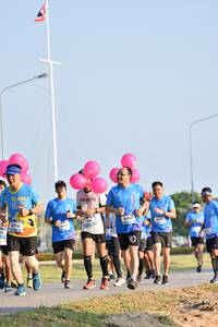 BIB: 6556, 5054
                            <button type="button" onclick="openModal(3089443)" class="btn btn-primary btn-sm float-right btn-popup" data-toggle="modal" data-target=".modal-high-quality">
                        <i class="fas fa-shopping-cart"></i> Add to Cart
                    </button>
                                            <button type="button" onclick="isThisMe(3089443, true)" class="btn btn-success btn-sm float-right btn-popup btn-isme hidden" data-toggle="tooltip" data-placement="bottom" title="นี่คือรูปของคุณใช่ไหม คลิกที่นี่เพื่อเอาเข้าอัลบั้ม">
                        <i class="fas fa-plus"></i> Add to album
                    </button>
                    <button type="button" onclick="isThisMe(3089443, false)" class="btn btn-warning btn-sm float-right btn-popup btn-isnotme hidden">
                        <i class="fas fa-ban"></i> Remove from album
                    </button>