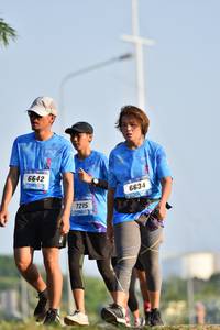 BIB: 6642, 6634
                            <button type="button" onclick="openModal(3089666)" class="btn btn-primary btn-sm float-right btn-popup" data-toggle="modal" data-target=".modal-high-quality">
                        <i class="fas fa-shopping-cart"></i> Add to Cart
                    </button>
                                            <button type="button" onclick="isThisMe(3089666, true)" class="btn btn-success btn-sm float-right btn-popup btn-isme hidden" data-toggle="tooltip" data-placement="bottom" title="นี่คือรูปของคุณใช่ไหม คลิกที่นี่เพื่อเอาเข้าอัลบั้ม">
                        <i class="fas fa-plus"></i> Add to album
                    </button>
                    <button type="button" onclick="isThisMe(3089666, false)" class="btn btn-warning btn-sm float-right btn-popup btn-isnotme hidden">
                        <i class="fas fa-ban"></i> Remove from album
                    </button>