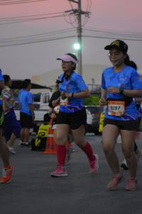 BIB: 9197, 
                            <button type="button" onclick="openModal(3369573)" class="btn btn-primary btn-sm float-right btn-popup" data-toggle="modal" data-target=".modal-high-quality">
                        <i class="fas fa-shopping-cart"></i> Add to Cart
                    </button>
                                            <button type="button" onclick="isThisMe(3369573, true)" class="btn btn-success btn-sm float-right btn-popup btn-isme hidden" data-toggle="tooltip" data-placement="bottom" title="นี่คือรูปของคุณใช่ไหม คลิกที่นี่เพื่อเอาเข้าอัลบั้ม">
                        <i class="fas fa-plus"></i> Add to album
                    </button>
                    <button type="button" onclick="isThisMe(3369573, false)" class="btn btn-warning btn-sm float-right btn-popup btn-isnotme hidden">
                        <i class="fas fa-ban"></i> Remove from album
                    </button>