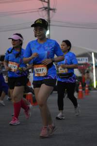 BIB: 279, 9197, 
                            <button type="button" onclick="openModal(3369513)" class="btn btn-primary btn-sm float-right btn-popup" data-toggle="modal" data-target=".modal-high-quality">
                        <i class="fas fa-shopping-cart"></i> Add to Cart
                    </button>
                                            <button type="button" onclick="isThisMe(3369513, true)" class="btn btn-success btn-sm float-right btn-popup btn-isme hidden" data-toggle="tooltip" data-placement="bottom" title="นี่คือรูปของคุณใช่ไหม คลิกที่นี่เพื่อเอาเข้าอัลบั้ม">
                        <i class="fas fa-plus"></i> Add to album
                    </button>
                    <button type="button" onclick="isThisMe(3369513, false)" class="btn btn-warning btn-sm float-right btn-popup btn-isnotme hidden">
                        <i class="fas fa-ban"></i> Remove from album
                    </button>