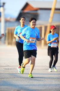 BIB: 9901, 0020
                            <button type="button" onclick="openModal(3170317)" class="btn btn-primary btn-sm float-right btn-popup" data-toggle="modal" data-target=".modal-high-quality">
                        <i class="fas fa-shopping-cart"></i> Add to Cart
                    </button>
                                            <button type="button" onclick="isThisMe(3170317, true)" class="btn btn-success btn-sm float-right btn-popup btn-isme hidden" data-toggle="tooltip" data-placement="bottom" title="นี่คือรูปของคุณใช่ไหม คลิกที่นี่เพื่อเอาเข้าอัลบั้ม">
                        <i class="fas fa-plus"></i> Add to album
                    </button>
                    <button type="button" onclick="isThisMe(3170317, false)" class="btn btn-warning btn-sm float-right btn-popup btn-isnotme hidden">
                        <i class="fas fa-ban"></i> Remove from album
                    </button>