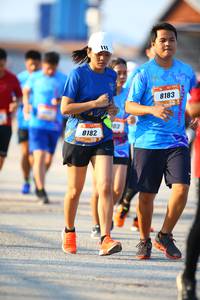 BIB: 8183, 8182
                            <button type="button" onclick="openModal(3155523)" class="btn btn-primary btn-sm float-right btn-popup" data-toggle="modal" data-target=".modal-high-quality">
                        <i class="fas fa-shopping-cart"></i> Add to Cart
                    </button>
                                            <button type="button" onclick="isThisMe(3155523, true)" class="btn btn-success btn-sm float-right btn-popup btn-isme hidden" data-toggle="tooltip" data-placement="bottom" title="นี่คือรูปของคุณใช่ไหม คลิกที่นี่เพื่อเอาเข้าอัลบั้ม">
                        <i class="fas fa-plus"></i> Add to album
                    </button>
                    <button type="button" onclick="isThisMe(3155523, false)" class="btn btn-warning btn-sm float-right btn-popup btn-isnotme hidden">
                        <i class="fas fa-ban"></i> Remove from album
                    </button>