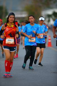 BIB: 337, 9867
                            <button type="button" onclick="openModal(3409550)" class="btn btn-primary btn-sm float-right btn-popup" data-toggle="modal" data-target=".modal-high-quality">
                        <i class="fas fa-shopping-cart"></i> Add to Cart
                    </button>
                                            <button type="button" onclick="isThisMe(3409550, true)" class="btn btn-success btn-sm float-right btn-popup btn-isme hidden" data-toggle="tooltip" data-placement="bottom" title="นี่คือรูปของคุณใช่ไหม คลิกที่นี่เพื่อเอาเข้าอัลบั้ม">
                        <i class="fas fa-plus"></i> Add to album
                    </button>
                    <button type="button" onclick="isThisMe(3409550, false)" class="btn btn-warning btn-sm float-right btn-popup btn-isnotme hidden">
                        <i class="fas fa-ban"></i> Remove from album
                    </button>