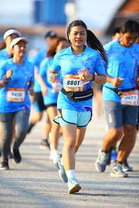 BIB: 8801, 429
                            <button type="button" onclick="openModal(3155719)" class="btn btn-primary btn-sm float-right btn-popup" data-toggle="modal" data-target=".modal-high-quality">
                        <i class="fas fa-shopping-cart"></i> Add to Cart
                    </button>
                                            <button type="button" onclick="isThisMe(3155719, true)" class="btn btn-success btn-sm float-right btn-popup btn-isme hidden" data-toggle="tooltip" data-placement="bottom" title="นี่คือรูปของคุณใช่ไหม คลิกที่นี่เพื่อเอาเข้าอัลบั้ม">
                        <i class="fas fa-plus"></i> Add to album
                    </button>
                    <button type="button" onclick="isThisMe(3155719, false)" class="btn btn-warning btn-sm float-right btn-popup btn-isnotme hidden">
                        <i class="fas fa-ban"></i> Remove from album
                    </button>