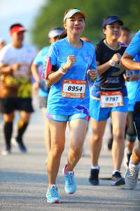 BIB: 8954, 8797, 
                            <button type="button" onclick="openModal(3373517)" class="btn btn-primary btn-sm float-right btn-popup" data-toggle="modal" data-target=".modal-high-quality">
                        <i class="fas fa-shopping-cart"></i> Add to Cart
                    </button>
                                            <button type="button" onclick="isThisMe(3373517, true)" class="btn btn-success btn-sm float-right btn-popup btn-isme hidden" data-toggle="tooltip" data-placement="bottom" title="นี่คือรูปของคุณใช่ไหม คลิกที่นี่เพื่อเอาเข้าอัลบั้ม">
                        <i class="fas fa-plus"></i> Add to album
                    </button>
                    <button type="button" onclick="isThisMe(3373517, false)" class="btn btn-warning btn-sm float-right btn-popup btn-isnotme hidden">
                        <i class="fas fa-ban"></i> Remove from album
                    </button>