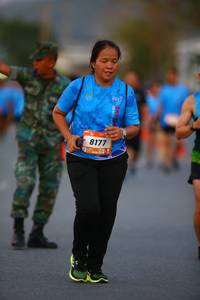 BIB: 8177
                            <button type="button" onclick="openModal(3235324)" class="btn btn-primary btn-sm float-right btn-popup" data-toggle="modal" data-target=".modal-high-quality">
                        <i class="fas fa-shopping-cart"></i> Add to Cart
                    </button>
                                            <button type="button" onclick="isThisMe(3235324, true)" class="btn btn-success btn-sm float-right btn-popup btn-isme hidden" data-toggle="tooltip" data-placement="bottom" title="นี่คือรูปของคุณใช่ไหม คลิกที่นี่เพื่อเอาเข้าอัลบั้ม">
                        <i class="fas fa-plus"></i> Add to album
                    </button>
                    <button type="button" onclick="isThisMe(3235324, false)" class="btn btn-warning btn-sm float-right btn-popup btn-isnotme hidden">
                        <i class="fas fa-ban"></i> Remove from album
                    </button>