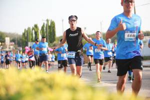 BIB: 
                            <button type="button" onclick="openModal(3446068)" class="btn btn-primary btn-sm float-right btn-popup" data-toggle="modal" data-target=".modal-high-quality">
                        <i class="fas fa-shopping-cart"></i> Add to Cart
                    </button>
                                            <button type="button" onclick="isThisMe(3446068, true)" class="btn btn-success btn-sm float-right btn-popup btn-isme hidden" data-toggle="tooltip" data-placement="bottom" title="นี่คือรูปของคุณใช่ไหม คลิกที่นี่เพื่อเอาเข้าอัลบั้ม">
                        <i class="fas fa-plus"></i> Add to album
                    </button>
                    <button type="button" onclick="isThisMe(3446068, false)" class="btn btn-warning btn-sm float-right btn-popup btn-isnotme hidden">
                        <i class="fas fa-ban"></i> Remove from album
                    </button>