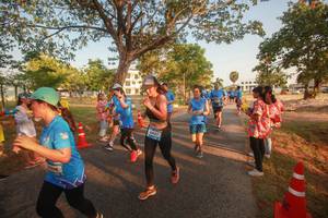 BIB: 
                            <button type="button" onclick="openModal(3452098)" class="btn btn-primary btn-sm float-right btn-popup" data-toggle="modal" data-target=".modal-high-quality">
                        <i class="fas fa-shopping-cart"></i> Add to Cart
                    </button>
                                            <button type="button" onclick="isThisMe(3452098, true)" class="btn btn-success btn-sm float-right btn-popup btn-isme hidden" data-toggle="tooltip" data-placement="bottom" title="นี่คือรูปของคุณใช่ไหม คลิกที่นี่เพื่อเอาเข้าอัลบั้ม">
                        <i class="fas fa-plus"></i> Add to album
                    </button>
                    <button type="button" onclick="isThisMe(3452098, false)" class="btn btn-warning btn-sm float-right btn-popup btn-isnotme hidden">
                        <i class="fas fa-ban"></i> Remove from album
                    </button>