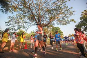 BIB: 
                            <button type="button" onclick="openModal(3452089)" class="btn btn-primary btn-sm float-right btn-popup" data-toggle="modal" data-target=".modal-high-quality">
                        <i class="fas fa-shopping-cart"></i> Add to Cart
                    </button>
                                            <button type="button" onclick="isThisMe(3452089, true)" class="btn btn-success btn-sm float-right btn-popup btn-isme hidden" data-toggle="tooltip" data-placement="bottom" title="นี่คือรูปของคุณใช่ไหม คลิกที่นี่เพื่อเอาเข้าอัลบั้ม">
                        <i class="fas fa-plus"></i> Add to album
                    </button>
                    <button type="button" onclick="isThisMe(3452089, false)" class="btn btn-warning btn-sm float-right btn-popup btn-isnotme hidden">
                        <i class="fas fa-ban"></i> Remove from album
                    </button>