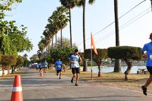 BIB: 
                            <button type="button" onclick="openModal(3471669)" class="btn btn-primary btn-sm float-right btn-popup" data-toggle="modal" data-target=".modal-high-quality">
                        <i class="fas fa-shopping-cart"></i> Add to Cart
                    </button>
                                            <button type="button" onclick="isThisMe(3471669, true)" class="btn btn-success btn-sm float-right btn-popup btn-isme hidden" data-toggle="tooltip" data-placement="bottom" title="นี่คือรูปของคุณใช่ไหม คลิกที่นี่เพื่อเอาเข้าอัลบั้ม">
                        <i class="fas fa-plus"></i> Add to album
                    </button>
                    <button type="button" onclick="isThisMe(3471669, false)" class="btn btn-warning btn-sm float-right btn-popup btn-isnotme hidden">
                        <i class="fas fa-ban"></i> Remove from album
                    </button>