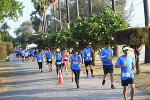 BIB: 
                            <button type="button" onclick="openModal(3472440)" class="btn btn-primary btn-sm float-right btn-popup" data-toggle="modal" data-target=".modal-high-quality">
                        <i class="fas fa-shopping-cart"></i> Add to Cart
                    </button>
                                            <button type="button" onclick="isThisMe(3472440, true)" class="btn btn-success btn-sm float-right btn-popup btn-isme hidden" data-toggle="tooltip" data-placement="bottom" title="นี่คือรูปของคุณใช่ไหม คลิกที่นี่เพื่อเอาเข้าอัลบั้ม">
                        <i class="fas fa-plus"></i> Add to album
                    </button>
                    <button type="button" onclick="isThisMe(3472440, false)" class="btn btn-warning btn-sm float-right btn-popup btn-isnotme hidden">
                        <i class="fas fa-ban"></i> Remove from album
                    </button>