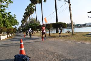 BIB: 
                            <button type="button" onclick="openModal(3470239)" class="btn btn-primary btn-sm float-right btn-popup" data-toggle="modal" data-target=".modal-high-quality">
                        <i class="fas fa-shopping-cart"></i> Add to Cart
                    </button>
                                            <button type="button" onclick="isThisMe(3470239, true)" class="btn btn-success btn-sm float-right btn-popup btn-isme hidden" data-toggle="tooltip" data-placement="bottom" title="นี่คือรูปของคุณใช่ไหม คลิกที่นี่เพื่อเอาเข้าอัลบั้ม">
                        <i class="fas fa-plus"></i> Add to album
                    </button>
                    <button type="button" onclick="isThisMe(3470239, false)" class="btn btn-warning btn-sm float-right btn-popup btn-isnotme hidden">
                        <i class="fas fa-ban"></i> Remove from album
                    </button>