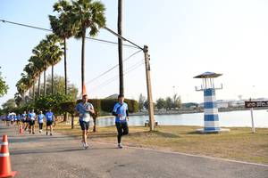 BIB: 
                            <button type="button" onclick="openModal(3472866)" class="btn btn-primary btn-sm float-right btn-popup" data-toggle="modal" data-target=".modal-high-quality">
                        <i class="fas fa-shopping-cart"></i> Add to Cart
                    </button>
                                            <button type="button" onclick="isThisMe(3472866, true)" class="btn btn-success btn-sm float-right btn-popup btn-isme hidden" data-toggle="tooltip" data-placement="bottom" title="นี่คือรูปของคุณใช่ไหม คลิกที่นี่เพื่อเอาเข้าอัลบั้ม">
                        <i class="fas fa-plus"></i> Add to album
                    </button>
                    <button type="button" onclick="isThisMe(3472866, false)" class="btn btn-warning btn-sm float-right btn-popup btn-isnotme hidden">
                        <i class="fas fa-ban"></i> Remove from album
                    </button>