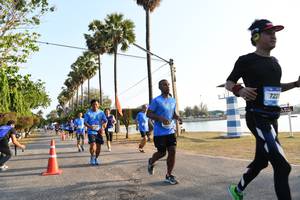 BIB: 
                            <button type="button" onclick="openModal(3472391)" class="btn btn-primary btn-sm float-right btn-popup" data-toggle="modal" data-target=".modal-high-quality">
                        <i class="fas fa-shopping-cart"></i> Add to Cart
                    </button>
                                            <button type="button" onclick="isThisMe(3472391, true)" class="btn btn-success btn-sm float-right btn-popup btn-isme hidden" data-toggle="tooltip" data-placement="bottom" title="นี่คือรูปของคุณใช่ไหม คลิกที่นี่เพื่อเอาเข้าอัลบั้ม">
                        <i class="fas fa-plus"></i> Add to album
                    </button>
                    <button type="button" onclick="isThisMe(3472391, false)" class="btn btn-warning btn-sm float-right btn-popup btn-isnotme hidden">
                        <i class="fas fa-ban"></i> Remove from album
                    </button>