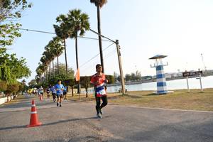 BIB: 
                            <button type="button" onclick="openModal(3472765)" class="btn btn-primary btn-sm float-right btn-popup" data-toggle="modal" data-target=".modal-high-quality">
                        <i class="fas fa-shopping-cart"></i> Add to Cart
                    </button>
                                            <button type="button" onclick="isThisMe(3472765, true)" class="btn btn-success btn-sm float-right btn-popup btn-isme hidden" data-toggle="tooltip" data-placement="bottom" title="นี่คือรูปของคุณใช่ไหม คลิกที่นี่เพื่อเอาเข้าอัลบั้ม">
                        <i class="fas fa-plus"></i> Add to album
                    </button>
                    <button type="button" onclick="isThisMe(3472765, false)" class="btn btn-warning btn-sm float-right btn-popup btn-isnotme hidden">
                        <i class="fas fa-ban"></i> Remove from album
                    </button>