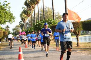 BIB: 672
                            <button type="button" onclick="openModal(3472678)" class="btn btn-primary btn-sm float-right btn-popup" data-toggle="modal" data-target=".modal-high-quality">
                        <i class="fas fa-shopping-cart"></i> Add to Cart
                    </button>
                                            <button type="button" onclick="isThisMe(3472678, true)" class="btn btn-success btn-sm float-right btn-popup btn-isme hidden" data-toggle="tooltip" data-placement="bottom" title="นี่คือรูปของคุณใช่ไหม คลิกที่นี่เพื่อเอาเข้าอัลบั้ม">
                        <i class="fas fa-plus"></i> Add to album
                    </button>
                    <button type="button" onclick="isThisMe(3472678, false)" class="btn btn-warning btn-sm float-right btn-popup btn-isnotme hidden">
                        <i class="fas fa-ban"></i> Remove from album
                    </button>