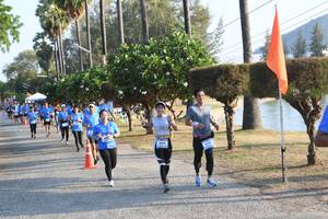 BIB: 
                            <button type="button" onclick="openModal(3472432)" class="btn btn-primary btn-sm float-right btn-popup" data-toggle="modal" data-target=".modal-high-quality">
                        <i class="fas fa-shopping-cart"></i> Add to Cart
                    </button>
                                            <button type="button" onclick="isThisMe(3472432, true)" class="btn btn-success btn-sm float-right btn-popup btn-isme hidden" data-toggle="tooltip" data-placement="bottom" title="นี่คือรูปของคุณใช่ไหม คลิกที่นี่เพื่อเอาเข้าอัลบั้ม">
                        <i class="fas fa-plus"></i> Add to album
                    </button>
                    <button type="button" onclick="isThisMe(3472432, false)" class="btn btn-warning btn-sm float-right btn-popup btn-isnotme hidden">
                        <i class="fas fa-ban"></i> Remove from album
                    </button>