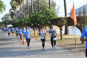 BIB: 
                            <button type="button" onclick="openModal(3472446)" class="btn btn-primary btn-sm float-right btn-popup" data-toggle="modal" data-target=".modal-high-quality">
                        <i class="fas fa-shopping-cart"></i> Add to Cart
                    </button>
                                            <button type="button" onclick="isThisMe(3472446, true)" class="btn btn-success btn-sm float-right btn-popup btn-isme hidden" data-toggle="tooltip" data-placement="bottom" title="นี่คือรูปของคุณใช่ไหม คลิกที่นี่เพื่อเอาเข้าอัลบั้ม">
                        <i class="fas fa-plus"></i> Add to album
                    </button>
                    <button type="button" onclick="isThisMe(3472446, false)" class="btn btn-warning btn-sm float-right btn-popup btn-isnotme hidden">
                        <i class="fas fa-ban"></i> Remove from album
                    </button>