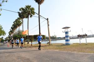 BIB: 
                            <button type="button" onclick="openModal(3471447)" class="btn btn-primary btn-sm float-right btn-popup" data-toggle="modal" data-target=".modal-high-quality">
                        <i class="fas fa-shopping-cart"></i> Add to Cart
                    </button>
                                            <button type="button" onclick="isThisMe(3471447, true)" class="btn btn-success btn-sm float-right btn-popup btn-isme hidden" data-toggle="tooltip" data-placement="bottom" title="นี่คือรูปของคุณใช่ไหม คลิกที่นี่เพื่อเอาเข้าอัลบั้ม">
                        <i class="fas fa-plus"></i> Add to album
                    </button>
                    <button type="button" onclick="isThisMe(3471447, false)" class="btn btn-warning btn-sm float-right btn-popup btn-isnotme hidden">
                        <i class="fas fa-ban"></i> Remove from album
                    </button>