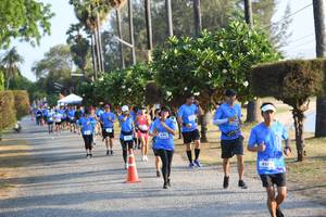 BIB: 
                            <button type="button" onclick="openModal(3472463)" class="btn btn-primary btn-sm float-right btn-popup" data-toggle="modal" data-target=".modal-high-quality">
                        <i class="fas fa-shopping-cart"></i> Add to Cart
                    </button>
                                            <button type="button" onclick="isThisMe(3472463, true)" class="btn btn-success btn-sm float-right btn-popup btn-isme hidden" data-toggle="tooltip" data-placement="bottom" title="นี่คือรูปของคุณใช่ไหม คลิกที่นี่เพื่อเอาเข้าอัลบั้ม">
                        <i class="fas fa-plus"></i> Add to album
                    </button>
                    <button type="button" onclick="isThisMe(3472463, false)" class="btn btn-warning btn-sm float-right btn-popup btn-isnotme hidden">
                        <i class="fas fa-ban"></i> Remove from album
                    </button>