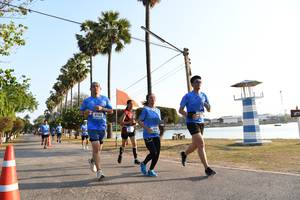 BIB: 
                            <button type="button" onclick="openModal(3471938)" class="btn btn-primary btn-sm float-right btn-popup" data-toggle="modal" data-target=".modal-high-quality">
                        <i class="fas fa-shopping-cart"></i> Add to Cart
                    </button>
                                            <button type="button" onclick="isThisMe(3471938, true)" class="btn btn-success btn-sm float-right btn-popup btn-isme hidden" data-toggle="tooltip" data-placement="bottom" title="นี่คือรูปของคุณใช่ไหม คลิกที่นี่เพื่อเอาเข้าอัลบั้ม">
                        <i class="fas fa-plus"></i> Add to album
                    </button>
                    <button type="button" onclick="isThisMe(3471938, false)" class="btn btn-warning btn-sm float-right btn-popup btn-isnotme hidden">
                        <i class="fas fa-ban"></i> Remove from album
                    </button>