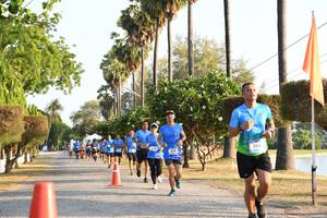 BIB: 
                            <button type="button" onclick="openModal(3471734)" class="btn btn-primary btn-sm float-right btn-popup" data-toggle="modal" data-target=".modal-high-quality">
                        <i class="fas fa-shopping-cart"></i> Add to Cart
                    </button>
                                            <button type="button" onclick="isThisMe(3471734, true)" class="btn btn-success btn-sm float-right btn-popup btn-isme hidden" data-toggle="tooltip" data-placement="bottom" title="นี่คือรูปของคุณใช่ไหม คลิกที่นี่เพื่อเอาเข้าอัลบั้ม">
                        <i class="fas fa-plus"></i> Add to album
                    </button>
                    <button type="button" onclick="isThisMe(3471734, false)" class="btn btn-warning btn-sm float-right btn-popup btn-isnotme hidden">
                        <i class="fas fa-ban"></i> Remove from album
                    </button>