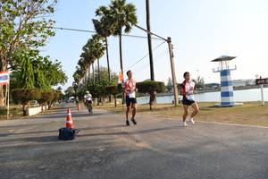 BIB: 
                            <button type="button" onclick="openModal(3470414)" class="btn btn-primary btn-sm float-right btn-popup" data-toggle="modal" data-target=".modal-high-quality">
                        <i class="fas fa-shopping-cart"></i> Add to Cart
                    </button>
                                            <button type="button" onclick="isThisMe(3470414, true)" class="btn btn-success btn-sm float-right btn-popup btn-isme hidden" data-toggle="tooltip" data-placement="bottom" title="นี่คือรูปของคุณใช่ไหม คลิกที่นี่เพื่อเอาเข้าอัลบั้ม">
                        <i class="fas fa-plus"></i> Add to album
                    </button>
                    <button type="button" onclick="isThisMe(3470414, false)" class="btn btn-warning btn-sm float-right btn-popup btn-isnotme hidden">
                        <i class="fas fa-ban"></i> Remove from album
                    </button>