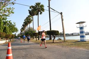 BIB: 
                            <button type="button" onclick="openModal(3471545)" class="btn btn-primary btn-sm float-right btn-popup" data-toggle="modal" data-target=".modal-high-quality">
                        <i class="fas fa-shopping-cart"></i> Add to Cart
                    </button>
                                            <button type="button" onclick="isThisMe(3471545, true)" class="btn btn-success btn-sm float-right btn-popup btn-isme hidden" data-toggle="tooltip" data-placement="bottom" title="นี่คือรูปของคุณใช่ไหม คลิกที่นี่เพื่อเอาเข้าอัลบั้ม">
                        <i class="fas fa-plus"></i> Add to album
                    </button>
                    <button type="button" onclick="isThisMe(3471545, false)" class="btn btn-warning btn-sm float-right btn-popup btn-isnotme hidden">
                        <i class="fas fa-ban"></i> Remove from album
                    </button>