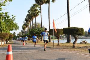 BIB: 
                            <button type="button" onclick="openModal(3471713)" class="btn btn-primary btn-sm float-right btn-popup" data-toggle="modal" data-target=".modal-high-quality">
                        <i class="fas fa-shopping-cart"></i> Add to Cart
                    </button>
                                            <button type="button" onclick="isThisMe(3471713, true)" class="btn btn-success btn-sm float-right btn-popup btn-isme hidden" data-toggle="tooltip" data-placement="bottom" title="นี่คือรูปของคุณใช่ไหม คลิกที่นี่เพื่อเอาเข้าอัลบั้ม">
                        <i class="fas fa-plus"></i> Add to album
                    </button>
                    <button type="button" onclick="isThisMe(3471713, false)" class="btn btn-warning btn-sm float-right btn-popup btn-isnotme hidden">
                        <i class="fas fa-ban"></i> Remove from album
                    </button>