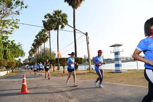 BIB: 
                            <button type="button" onclick="openModal(3472795)" class="btn btn-primary btn-sm float-right btn-popup" data-toggle="modal" data-target=".modal-high-quality">
                        <i class="fas fa-shopping-cart"></i> Add to Cart
                    </button>
                                            <button type="button" onclick="isThisMe(3472795, true)" class="btn btn-success btn-sm float-right btn-popup btn-isme hidden" data-toggle="tooltip" data-placement="bottom" title="นี่คือรูปของคุณใช่ไหม คลิกที่นี่เพื่อเอาเข้าอัลบั้ม">
                        <i class="fas fa-plus"></i> Add to album
                    </button>
                    <button type="button" onclick="isThisMe(3472795, false)" class="btn btn-warning btn-sm float-right btn-popup btn-isnotme hidden">
                        <i class="fas fa-ban"></i> Remove from album
                    </button>