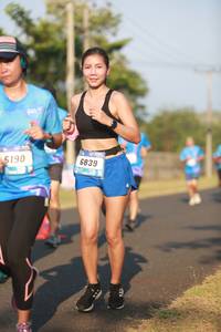 BIB: 6839, 190
                            <button type="button" onclick="openModal(3275173)" class="btn btn-primary btn-sm float-right btn-popup" data-toggle="modal" data-target=".modal-high-quality">
                        <i class="fas fa-shopping-cart"></i> Add to Cart
                    </button>
                                            <button type="button" onclick="isThisMe(3275173, true)" class="btn btn-success btn-sm float-right btn-popup btn-isme hidden" data-toggle="tooltip" data-placement="bottom" title="นี่คือรูปของคุณใช่ไหม คลิกที่นี่เพื่อเอาเข้าอัลบั้ม">
                        <i class="fas fa-plus"></i> Add to album
                    </button>
                    <button type="button" onclick="isThisMe(3275173, false)" class="btn btn-warning btn-sm float-right btn-popup btn-isnotme hidden">
                        <i class="fas fa-ban"></i> Remove from album
                    </button>