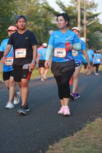 BIB: 9842, 9801, 086, 792
                            <button type="button" onclick="openModal(3286968)" class="btn btn-primary btn-sm float-right btn-popup" data-toggle="modal" data-target=".modal-high-quality">
                        <i class="fas fa-shopping-cart"></i> Add to Cart
                    </button>
                                            <button type="button" onclick="isThisMe(3286968, true)" class="btn btn-success btn-sm float-right btn-popup btn-isme hidden" data-toggle="tooltip" data-placement="bottom" title="นี่คือรูปของคุณใช่ไหม คลิกที่นี่เพื่อเอาเข้าอัลบั้ม">
                        <i class="fas fa-plus"></i> Add to album
                    </button>
                    <button type="button" onclick="isThisMe(3286968, false)" class="btn btn-warning btn-sm float-right btn-popup btn-isnotme hidden">
                        <i class="fas fa-ban"></i> Remove from album
                    </button>