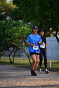 BIB: 66206461
                            <button type="button" onclick="openModal(3413826)" class="btn btn-primary btn-sm float-right btn-popup" data-toggle="modal" data-target=".modal-high-quality">
                        <i class="fas fa-shopping-cart"></i> Add to Cart
                    </button>
                                            <button type="button" onclick="isThisMe(3413826, true)" class="btn btn-success btn-sm float-right btn-popup btn-isme hidden" data-toggle="tooltip" data-placement="bottom" title="นี่คือรูปของคุณใช่ไหม คลิกที่นี่เพื่อเอาเข้าอัลบั้ม">
                        <i class="fas fa-plus"></i> Add to album
                    </button>
                    <button type="button" onclick="isThisMe(3413826, false)" class="btn btn-warning btn-sm float-right btn-popup btn-isnotme hidden">
                        <i class="fas fa-ban"></i> Remove from album
                    </button>