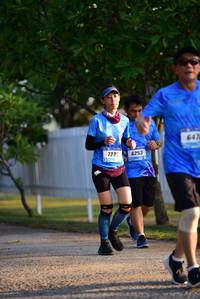 BIB: 647, 723, 6253
                            <button type="button" onclick="openModal(3413756)" class="btn btn-primary btn-sm float-right btn-popup" data-toggle="modal" data-target=".modal-high-quality">
                        <i class="fas fa-shopping-cart"></i> Add to Cart
                    </button>
                                            <button type="button" onclick="isThisMe(3413756, true)" class="btn btn-success btn-sm float-right btn-popup btn-isme hidden" data-toggle="tooltip" data-placement="bottom" title="นี่คือรูปของคุณใช่ไหม คลิกที่นี่เพื่อเอาเข้าอัลบั้ม">
                        <i class="fas fa-plus"></i> Add to album
                    </button>
                    <button type="button" onclick="isThisMe(3413756, false)" class="btn btn-warning btn-sm float-right btn-popup btn-isnotme hidden">
                        <i class="fas fa-ban"></i> Remove from album
                    </button>