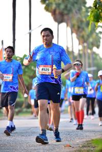 BIB: 8525, 301
                            <button type="button" onclick="openModal(3426806)" class="btn btn-primary btn-sm float-right btn-popup" data-toggle="modal" data-target=".modal-high-quality">
                        <i class="fas fa-shopping-cart"></i> Add to Cart
                    </button>
                                            <button type="button" onclick="isThisMe(3426806, true)" class="btn btn-success btn-sm float-right btn-popup btn-isme hidden" data-toggle="tooltip" data-placement="bottom" title="นี่คือรูปของคุณใช่ไหม คลิกที่นี่เพื่อเอาเข้าอัลบั้ม">
                        <i class="fas fa-plus"></i> Add to album
                    </button>
                    <button type="button" onclick="isThisMe(3426806, false)" class="btn btn-warning btn-sm float-right btn-popup btn-isnotme hidden">
                        <i class="fas fa-ban"></i> Remove from album
                    </button>