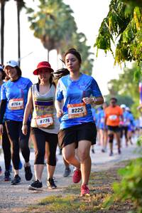 BIB: 8764, 8225, 8776
                            <button type="button" onclick="openModal(3420124)" class="btn btn-primary btn-sm float-right btn-popup" data-toggle="modal" data-target=".modal-high-quality">
                        <i class="fas fa-shopping-cart"></i> Add to Cart
                    </button>
                                            <button type="button" onclick="isThisMe(3420124, true)" class="btn btn-success btn-sm float-right btn-popup btn-isme hidden" data-toggle="tooltip" data-placement="bottom" title="นี่คือรูปของคุณใช่ไหม คลิกที่นี่เพื่อเอาเข้าอัลบั้ม">
                        <i class="fas fa-plus"></i> Add to album
                    </button>
                    <button type="button" onclick="isThisMe(3420124, false)" class="btn btn-warning btn-sm float-right btn-popup btn-isnotme hidden">
                        <i class="fas fa-ban"></i> Remove from album
                    </button>