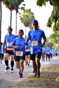 BIB: 1634, 9259, 8435
                            <button type="button" onclick="openModal(3426829)" class="btn btn-primary btn-sm float-right btn-popup" data-toggle="modal" data-target=".modal-high-quality">
                        <i class="fas fa-shopping-cart"></i> Add to Cart
                    </button>
                                            <button type="button" onclick="isThisMe(3426829, true)" class="btn btn-success btn-sm float-right btn-popup btn-isme hidden" data-toggle="tooltip" data-placement="bottom" title="นี่คือรูปของคุณใช่ไหม คลิกที่นี่เพื่อเอาเข้าอัลบั้ม">
                        <i class="fas fa-plus"></i> Add to album
                    </button>
                    <button type="button" onclick="isThisMe(3426829, false)" class="btn btn-warning btn-sm float-right btn-popup btn-isnotme hidden">
                        <i class="fas fa-ban"></i> Remove from album
                    </button>