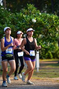 BIB: 6181, 6716, 6248
                            <button type="button" onclick="openModal(3409719)" class="btn btn-primary btn-sm float-right btn-popup" data-toggle="modal" data-target=".modal-high-quality">
                        <i class="fas fa-shopping-cart"></i> Add to Cart
                    </button>
                                            <button type="button" onclick="isThisMe(3409719, true)" class="btn btn-success btn-sm float-right btn-popup btn-isme hidden" data-toggle="tooltip" data-placement="bottom" title="นี่คือรูปของคุณใช่ไหม คลิกที่นี่เพื่อเอาเข้าอัลบั้ม">
                        <i class="fas fa-plus"></i> Add to album
                    </button>
                    <button type="button" onclick="isThisMe(3409719, false)" class="btn btn-warning btn-sm float-right btn-popup btn-isnotme hidden">
                        <i class="fas fa-ban"></i> Remove from album
                    </button>