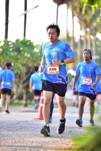 BIB: 8306
                            <button type="button" onclick="openModal(3419089)" class="btn btn-primary btn-sm float-right btn-popup" data-toggle="modal" data-target=".modal-high-quality">
                        <i class="fas fa-shopping-cart"></i> Add to Cart
                    </button>
                                            <button type="button" onclick="isThisMe(3419089, true)" class="btn btn-success btn-sm float-right btn-popup btn-isme hidden" data-toggle="tooltip" data-placement="bottom" title="นี่คือรูปของคุณใช่ไหม คลิกที่นี่เพื่อเอาเข้าอัลบั้ม">
                        <i class="fas fa-plus"></i> Add to album
                    </button>
                    <button type="button" onclick="isThisMe(3419089, false)" class="btn btn-warning btn-sm float-right btn-popup btn-isnotme hidden">
                        <i class="fas fa-ban"></i> Remove from album
                    </button>