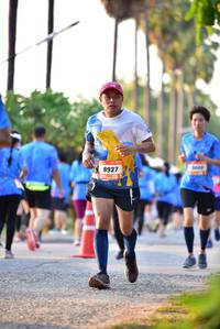 BIB: 8937
                            <button type="button" onclick="openModal(3422541)" class="btn btn-primary btn-sm float-right btn-popup" data-toggle="modal" data-target=".modal-high-quality">
                        <i class="fas fa-shopping-cart"></i> Add to Cart
                    </button>
                                            <button type="button" onclick="isThisMe(3422541, true)" class="btn btn-success btn-sm float-right btn-popup btn-isme hidden" data-toggle="tooltip" data-placement="bottom" title="นี่คือรูปของคุณใช่ไหม คลิกที่นี่เพื่อเอาเข้าอัลบั้ม">
                        <i class="fas fa-plus"></i> Add to album
                    </button>
                    <button type="button" onclick="isThisMe(3422541, false)" class="btn btn-warning btn-sm float-right btn-popup btn-isnotme hidden">
                        <i class="fas fa-ban"></i> Remove from album
                    </button>