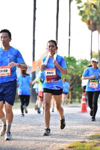 BIB: 8198, 8803
                            <button type="button" onclick="openModal(3420961)" class="btn btn-primary btn-sm float-right btn-popup" data-toggle="modal" data-target=".modal-high-quality">
                        <i class="fas fa-shopping-cart"></i> Add to Cart
                    </button>
                                            <button type="button" onclick="isThisMe(3420961, true)" class="btn btn-success btn-sm float-right btn-popup btn-isme hidden" data-toggle="tooltip" data-placement="bottom" title="นี่คือรูปของคุณใช่ไหม คลิกที่นี่เพื่อเอาเข้าอัลบั้ม">
                        <i class="fas fa-plus"></i> Add to album
                    </button>
                    <button type="button" onclick="isThisMe(3420961, false)" class="btn btn-warning btn-sm float-right btn-popup btn-isnotme hidden">
                        <i class="fas fa-ban"></i> Remove from album
                    </button>