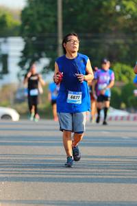 BIB: 6677
                            <button type="button" onclick="openModal(3185379)" class="btn btn-primary btn-sm float-right btn-popup" data-toggle="modal" data-target=".modal-high-quality">
                        <i class="fas fa-shopping-cart"></i> Add to Cart
                    </button>
                                            <button type="button" onclick="isThisMe(3185379, true)" class="btn btn-success btn-sm float-right btn-popup btn-isme hidden" data-toggle="tooltip" data-placement="bottom" title="นี่คือรูปของคุณใช่ไหม คลิกที่นี่เพื่อเอาเข้าอัลบั้ม">
                        <i class="fas fa-plus"></i> Add to album
                    </button>
                    <button type="button" onclick="isThisMe(3185379, false)" class="btn btn-warning btn-sm float-right btn-popup btn-isnotme hidden">
                        <i class="fas fa-ban"></i> Remove from album
                    </button>