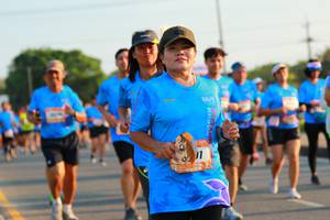 BIB: 
                            <button type="button" onclick="openModal(3194638)" class="btn btn-primary btn-sm float-right btn-popup" data-toggle="modal" data-target=".modal-high-quality">
                        <i class="fas fa-shopping-cart"></i> Add to Cart
                    </button>
                                            <button type="button" onclick="isThisMe(3194638, true)" class="btn btn-success btn-sm float-right btn-popup btn-isme hidden" data-toggle="tooltip" data-placement="bottom" title="นี่คือรูปของคุณใช่ไหม คลิกที่นี่เพื่อเอาเข้าอัลบั้ม">
                        <i class="fas fa-plus"></i> Add to album
                    </button>
                    <button type="button" onclick="isThisMe(3194638, false)" class="btn btn-warning btn-sm float-right btn-popup btn-isnotme hidden">
                        <i class="fas fa-ban"></i> Remove from album
                    </button>