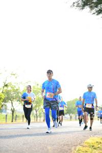 BIB: 
                            <button type="button" onclick="openModal(3406166)" class="btn btn-primary btn-sm float-right btn-popup" data-toggle="modal" data-target=".modal-high-quality">
                        <i class="fas fa-shopping-cart"></i> Add to Cart
                    </button>
                                            <button type="button" onclick="isThisMe(3406166, true)" class="btn btn-success btn-sm float-right btn-popup btn-isme hidden" data-toggle="tooltip" data-placement="bottom" title="นี่คือรูปของคุณใช่ไหม คลิกที่นี่เพื่อเอาเข้าอัลบั้ม">
                        <i class="fas fa-plus"></i> Add to album
                    </button>
                    <button type="button" onclick="isThisMe(3406166, false)" class="btn btn-warning btn-sm float-right btn-popup btn-isnotme hidden">
                        <i class="fas fa-ban"></i> Remove from album
                    </button>