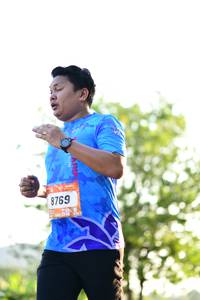 BIB: 8769
                            <button type="button" onclick="openModal(3406273)" class="btn btn-primary btn-sm float-right btn-popup" data-toggle="modal" data-target=".modal-high-quality">
                        <i class="fas fa-shopping-cart"></i> Add to Cart
                    </button>
                                            <button type="button" onclick="isThisMe(3406273, true)" class="btn btn-success btn-sm float-right btn-popup btn-isme hidden" data-toggle="tooltip" data-placement="bottom" title="นี่คือรูปของคุณใช่ไหม คลิกที่นี่เพื่อเอาเข้าอัลบั้ม">
                        <i class="fas fa-plus"></i> Add to album
                    </button>
                    <button type="button" onclick="isThisMe(3406273, false)" class="btn btn-warning btn-sm float-right btn-popup btn-isnotme hidden">
                        <i class="fas fa-ban"></i> Remove from album
                    </button>