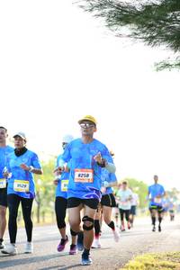 BIB: 8258, 9529
                            <button type="button" onclick="openModal(3406221)" class="btn btn-primary btn-sm float-right btn-popup" data-toggle="modal" data-target=".modal-high-quality">
                        <i class="fas fa-shopping-cart"></i> Add to Cart
                    </button>
                                            <button type="button" onclick="isThisMe(3406221, true)" class="btn btn-success btn-sm float-right btn-popup btn-isme hidden" data-toggle="tooltip" data-placement="bottom" title="นี่คือรูปของคุณใช่ไหม คลิกที่นี่เพื่อเอาเข้าอัลบั้ม">
                        <i class="fas fa-plus"></i> Add to album
                    </button>
                    <button type="button" onclick="isThisMe(3406221, false)" class="btn btn-warning btn-sm float-right btn-popup btn-isnotme hidden">
                        <i class="fas fa-ban"></i> Remove from album
                    </button>